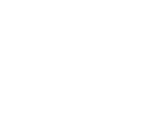 Sponsors